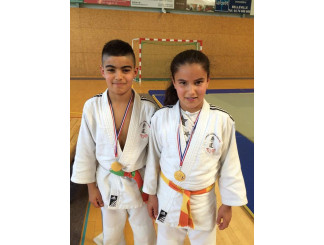 club judo villefranche sur saone